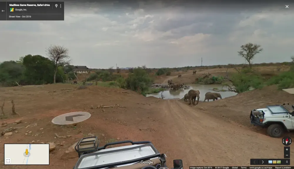 Safari Google Earth